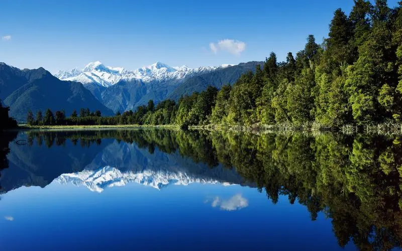 先进网络化高效